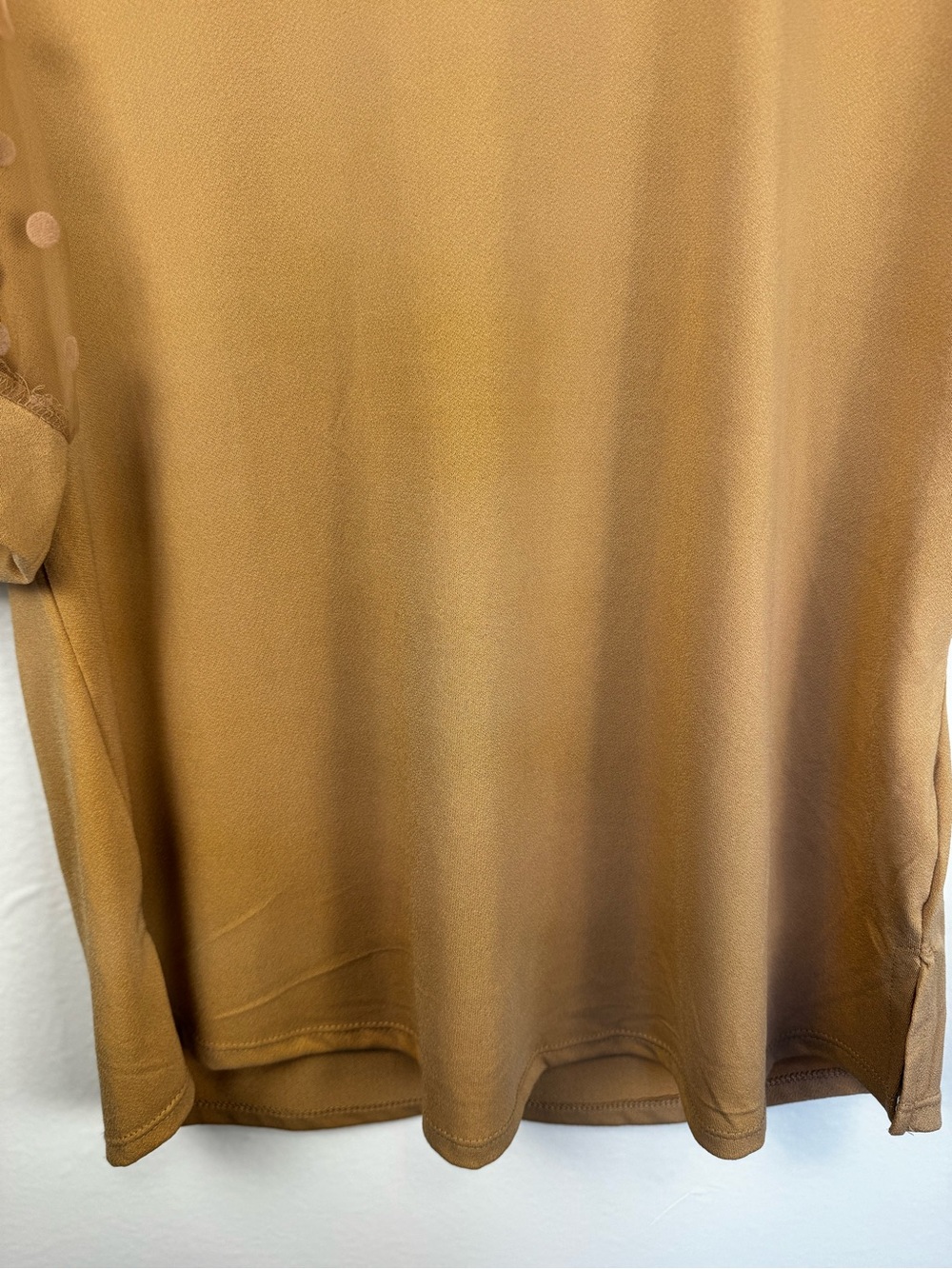 Alison Andrews SZ Large Camel Puff Sleeve Swiss Dot Mesh Top Sheer Sleeve Blouse - Picture 7 of 11